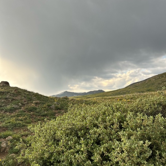 Meet your Posher, SasseeSeconds - Picture 2 of 3